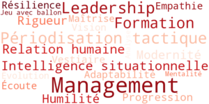 Nuage de mots Pierre Sage